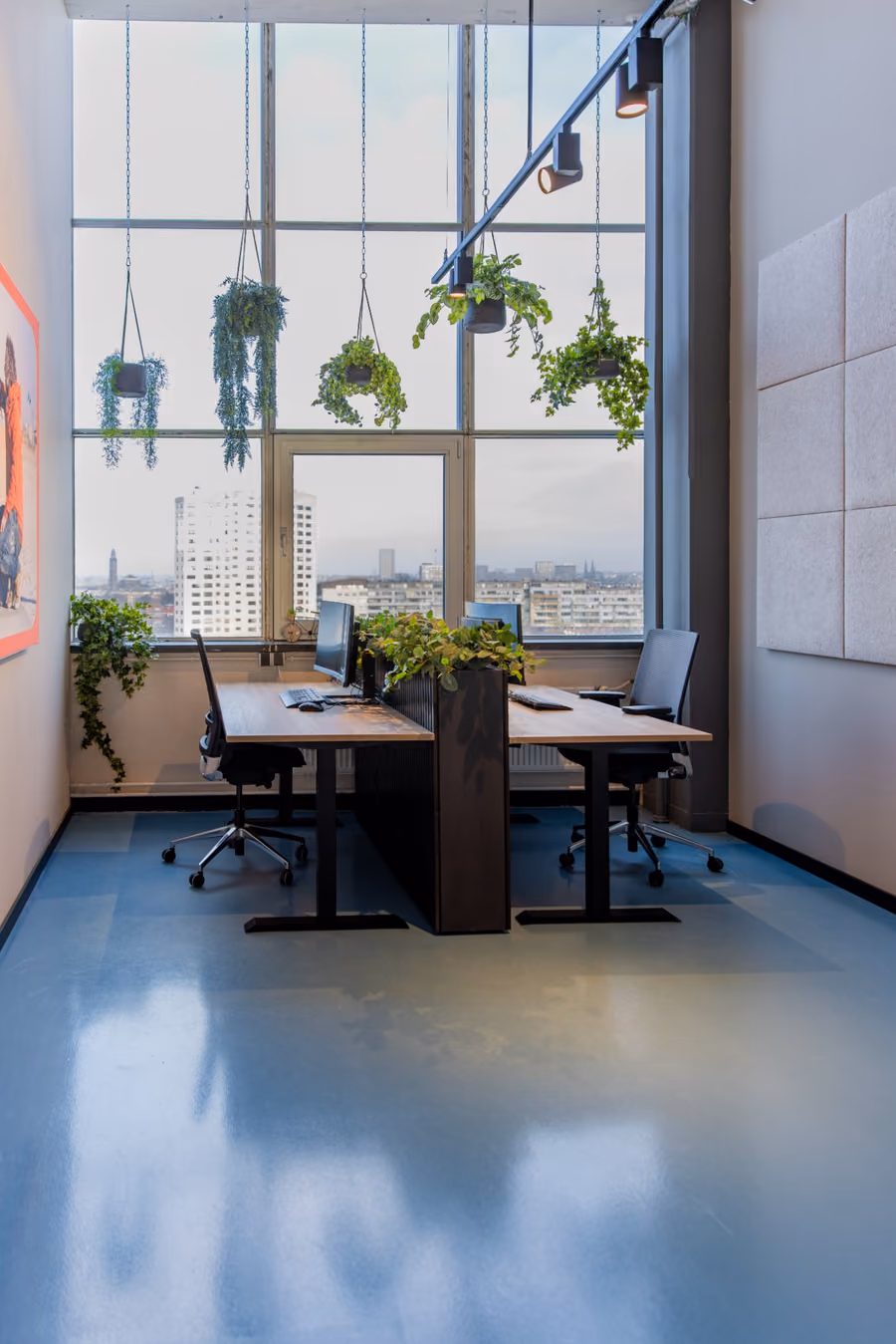 Kantoorruimte met zijden hangplanten voor het raam en groen op het bureau.
